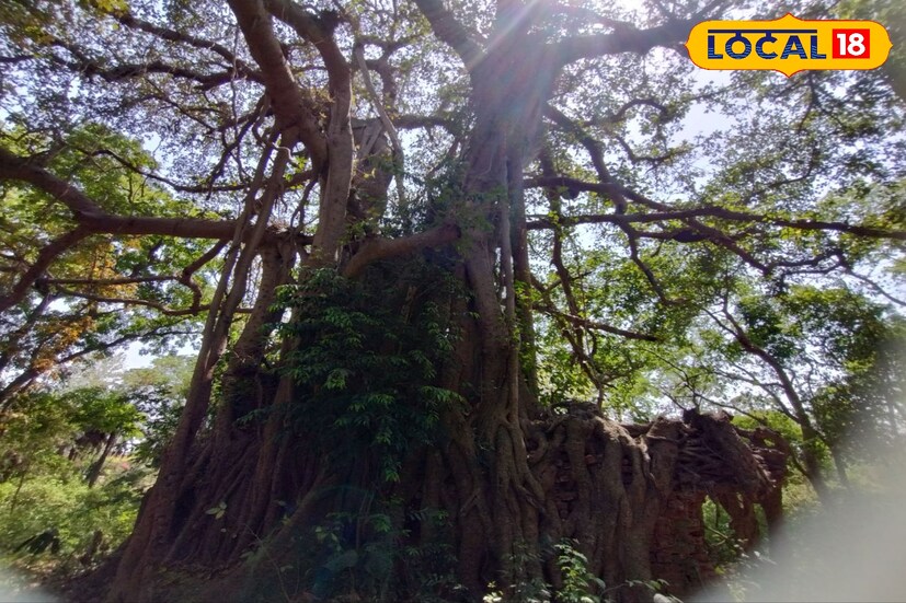 ছাতনা রাজবাড়ির মা মৃন্ময়ীর দুর্গামন্দির। একসময়ের সামন্তভূম এর রাজধানী ছাতনায় রাজা বা রাজতন্ত্র কিছু না থাকলেও এখনো সেই পুরনো নিয়ম মেনেই চলে মায়ের আরাধনা। 