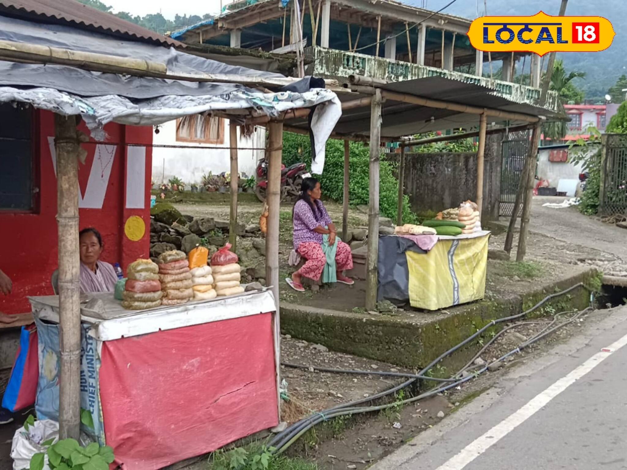 কালো ডাল চাষ করে আয় করুন লক্ষ লক্ষ টাকা! জানুন সহজ পদ্ধতি