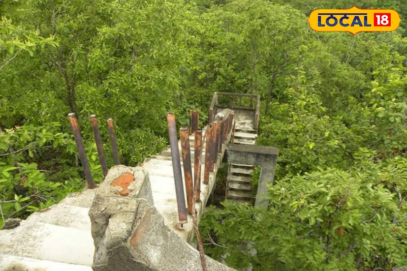 বাঁকুড়ার রানিবাঁধ থেকে ঝিলিমিলি যাওয়ার পুরো রাস্তাটাই ঘন জঙ্গলে ঢাকা । 