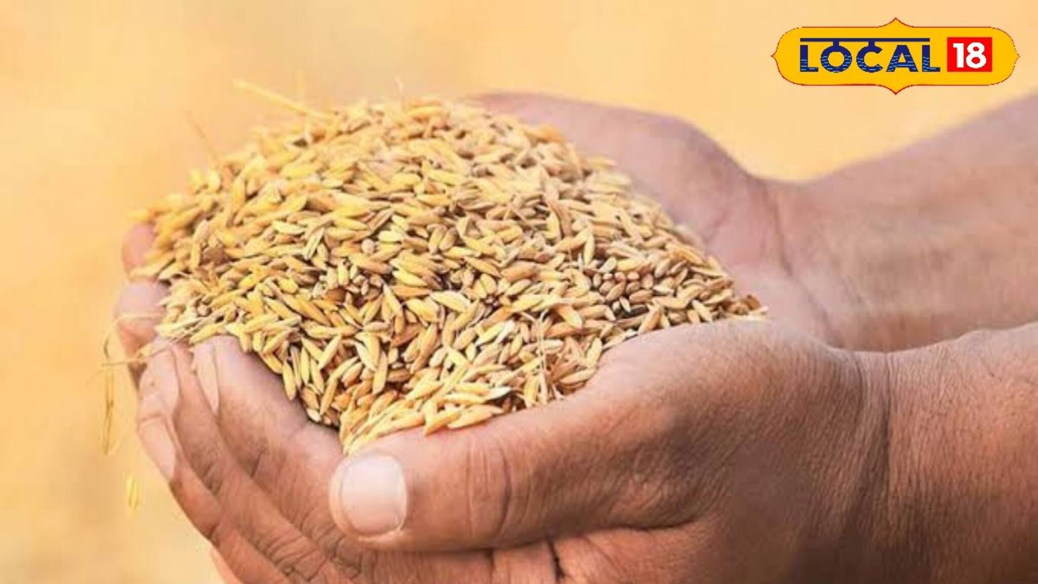 Paddy Procurement: মিটবে কৃষকের সমস্যা! ধানক্রয় কেন্দ্রে ই-পপ যন্ত্রের সঙ্গে যুক্ত ইলেকট্রনিক ওজনযন্ত্র