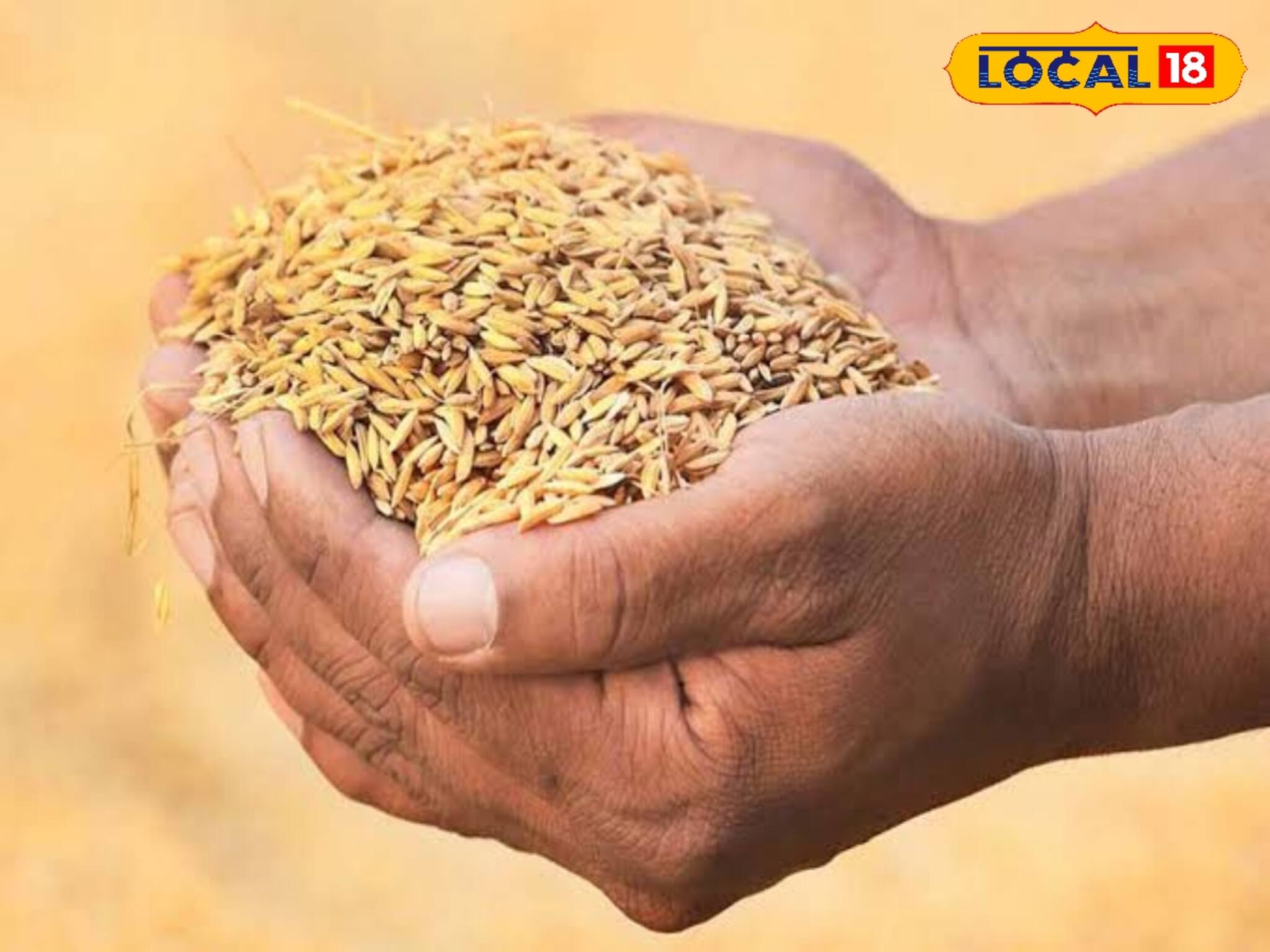 Paddy Procurement: মিটবে কৃষকের সমস্যা! ধানক্রয় কেন্দ্রে ই-পপ যন্ত্রের সঙ্গে যুক্ত ইলেকট্রনিক ওজনযন্ত্র