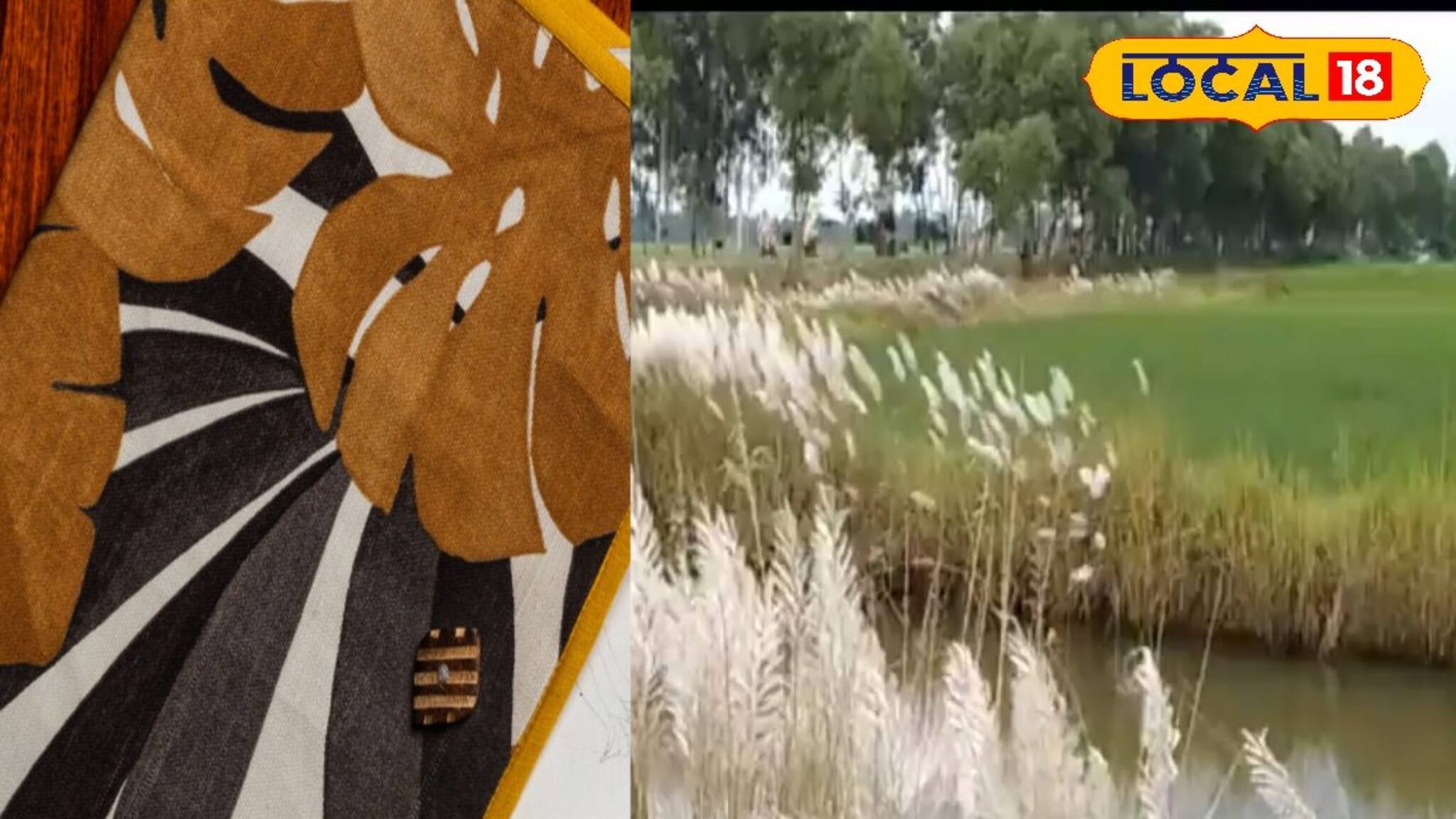 শরতের কাশফুলই এখন রোজগারের দিশা! কভার ফাইল বনিয়ে স্বনির্ভর এই গ্রামের মহিলারা