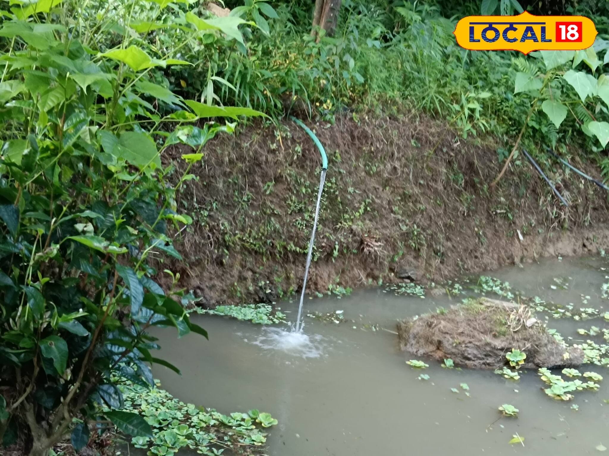 পাহাড়ের কোলে মাটি কেটে ঝরনার জলেই হচ্ছে মাছ চাষ! আয় করতে পারেন লাখ টাকা! রইল পদ্ধতি