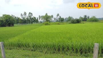 পদ্ধতিতে