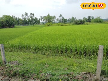 পদ্ধতিতে