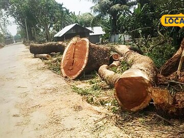 প্রতিকী