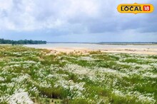 নীল আকাশে সাদা মেঘের ভেলা, কাশ ফুলের হাতছানি, একছুটে বাড়ির পাশেই অচিনপুর