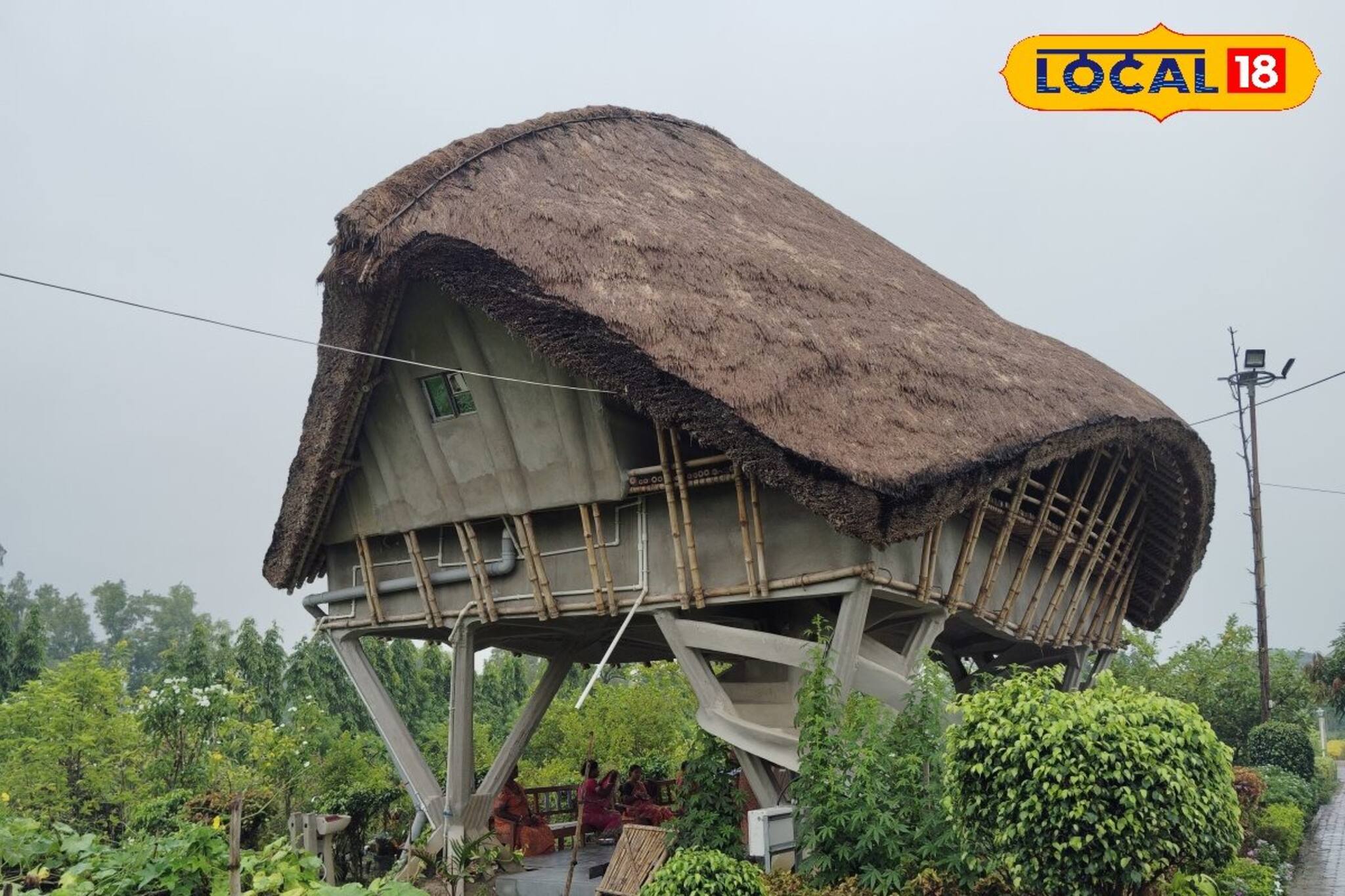 আকাশের নীল চাদর, পায়ের তলায় সবুজ ঘাসের গালিচা, সুন্দরবনে এলে এখানে আসুন, দেখুন