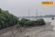 ২বছর ধরে নদীর বুকে পড়ে নবনির্মিত জেটি ‌‌যুক্ত নয় স্থলভাগে! সুন্দরবনে অদ্ভুত পরিস্থিতি