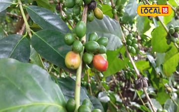 ঝাড়গ্রাম