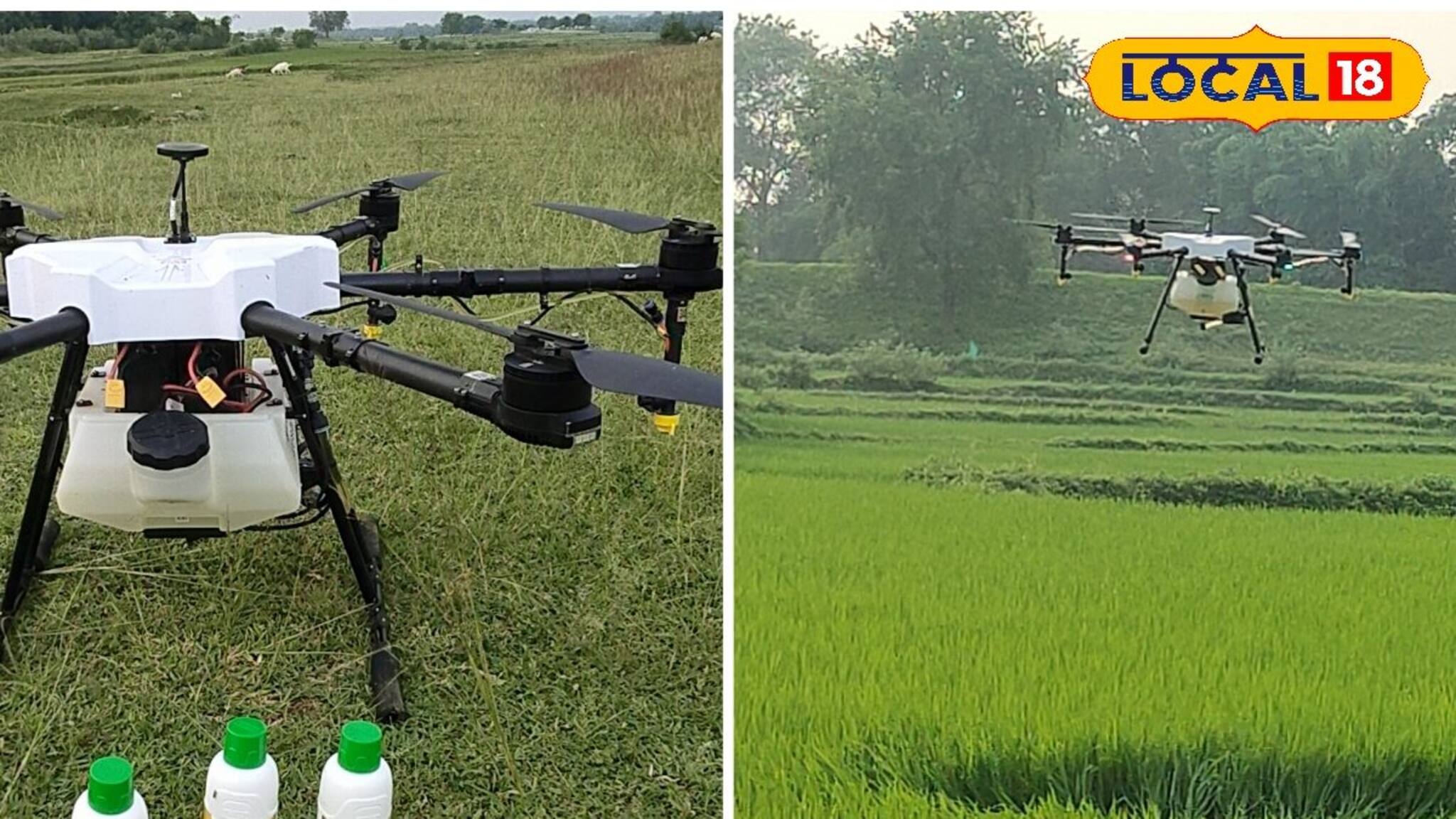 Purulia News: ড্রোনের মাধ্যমে চাষ জমিতে উন্নত কৃষিকাজ, নতুন দিশা দেখাচ্ছে পুরুলিয়ার কৃষি দফতর