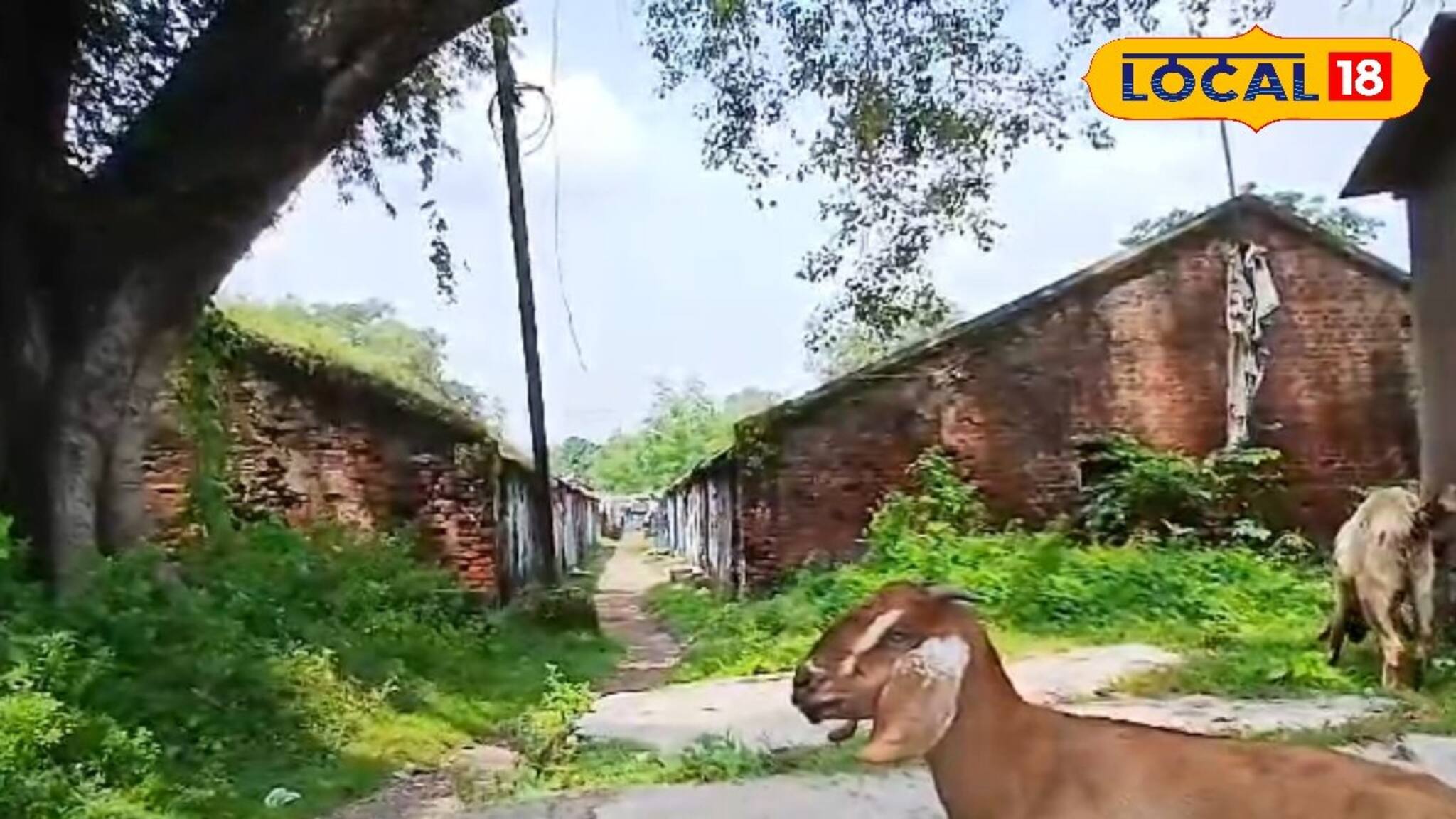 ৩৭ টি বিশ্বকর্মা পুজো হত এখানেই! চলত চোরা টক্কর! আর এখন? দেখলে কান্না পাবে...