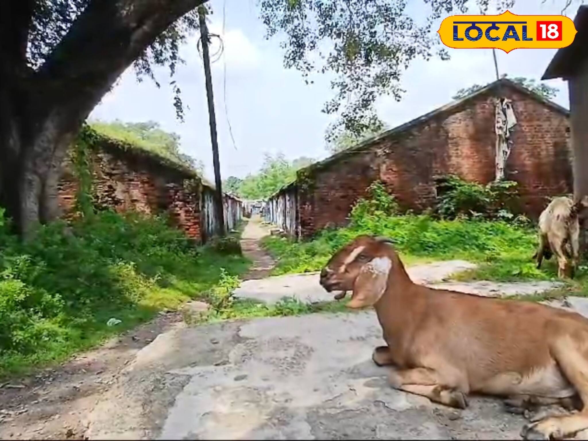 ৩৭ টি বিশ্বকর্মা পুজো হত এখানেই! চলত চোরা টক্কর! আর এখন? দেখলে কান্না পাবে...
