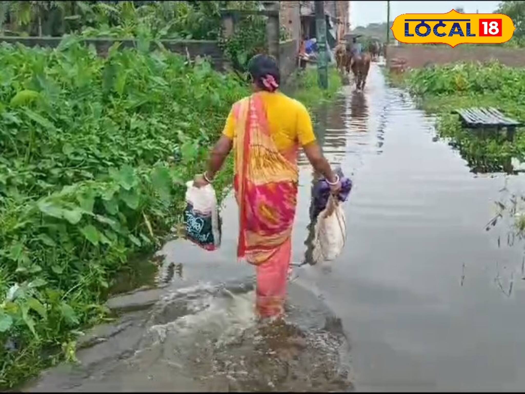 নেই সঠিক নিকাশি ব্যবস্থা! বৈদ্যবাটিতে জলের তলায় ঘরবাড়ি থেকে কৃষি জমি