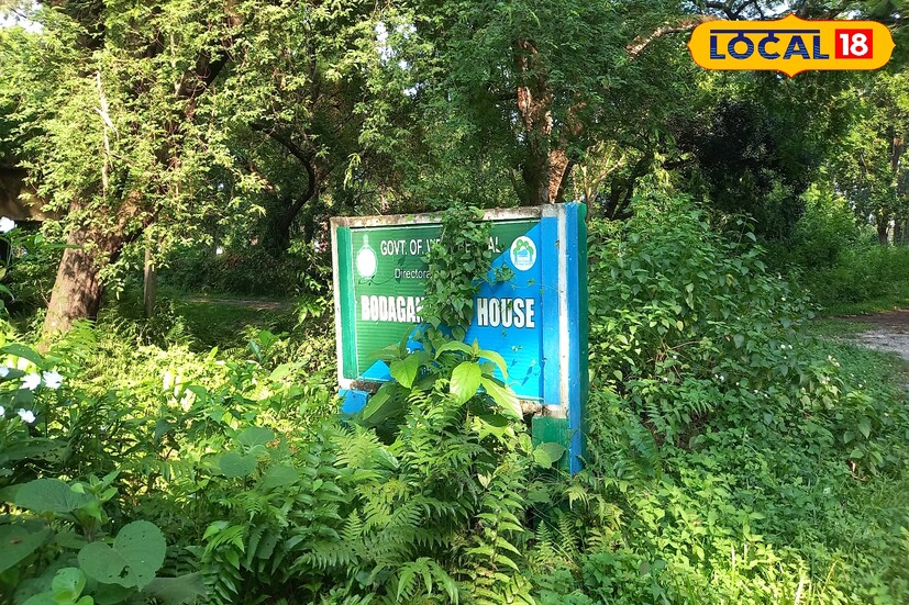 অন্যদিকে পর্যটকদের গাড়িতে করে ঘোরানোর জন্য যে জিপসি রয়েছে তাদেরও পুজো দিয়ে আজ থেকে জোরকদমে চলবে পর্যটকদের নিয়ে উত্তরের জঙ্গলের অজানা জায়গা ঘোরানো।