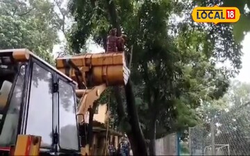 জেসিপি