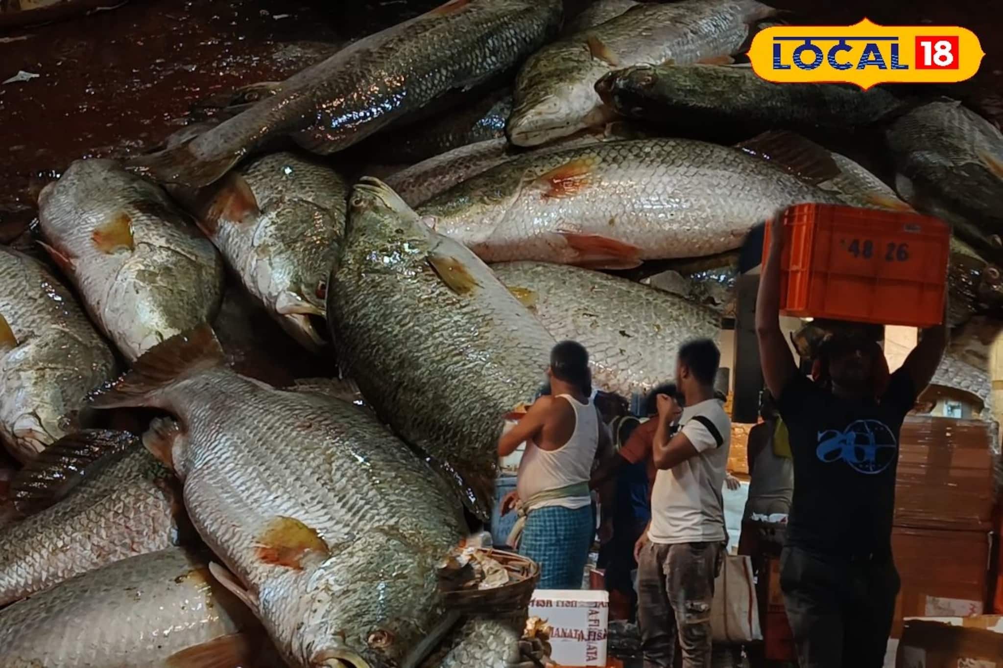 সস্তায় ইলিশ-চিংড়ি-ভেটকি, শতাব্দী প্রাচীন বাংলার পাইকারি মাছ বাজার! কোথায়?