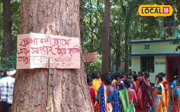 হাতি
