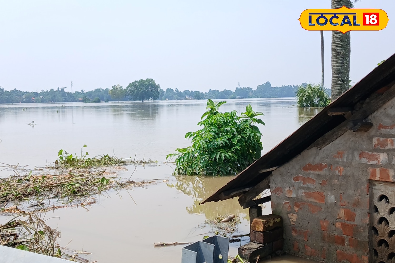 বন্যা পরিস্থিতি মোকাবিলাতে প্রায় ৪০টি নৌকার ব্যবস্থা রাখা। উদ্ধার কাজ সহ ত্রাণ পৌঁছানোর কাজে। প্রত্যেকটি রেসকিউ সেন্টারে একটি করে মেডিকেল টিম রাখা হয়েছে এছাড়াও স্বাস্থ্যকর্মীরা (আশা কর্মী) পরিষেবার কাজে লিপ্ত আছেন। হাওড়ার জন্য ৩০ হাজার ত্রিপল ধার্য আছে। এছাড়াও ড্রাই ফুড, বেবি ফুড, পানীয় জল, চাল ইত্যাদির ব্যবস্থা করা হয়েছে।