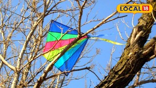 গাছে আটকানো ঘুড়ি