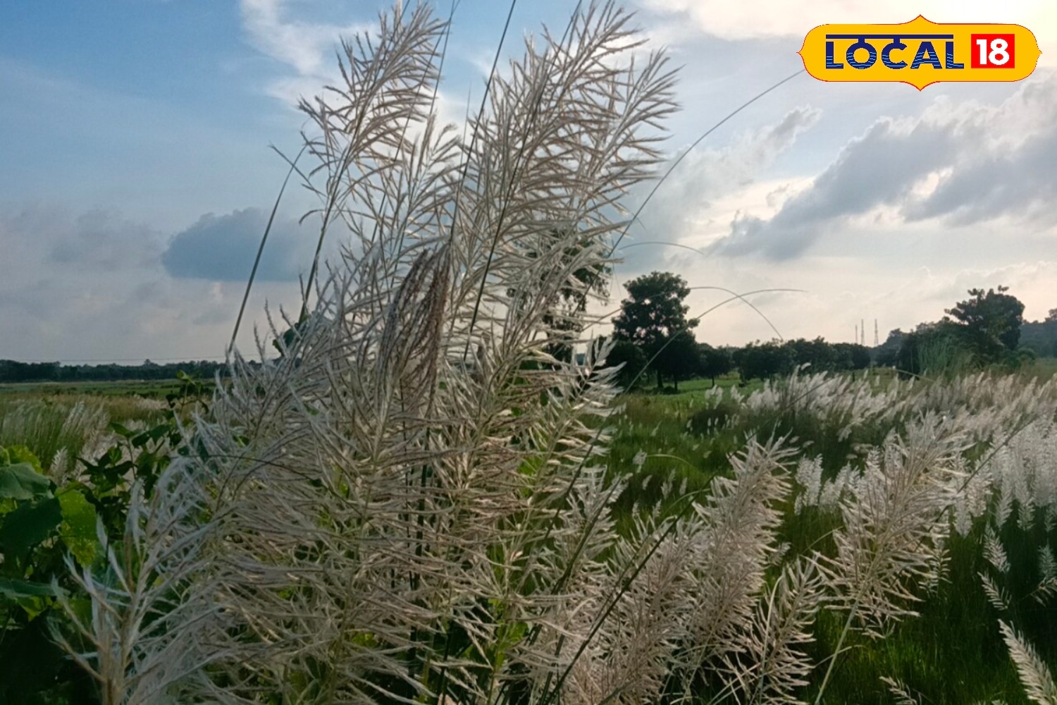 গরম বৃদ্ধি পাওয়ায় তাপমাত্রার পারদ কিছুটা বৃদ্ধি পেয়েছে জেলাগুলিতে। বর্তমানে জেলাগুলির সর্বনিম্ন তাপমাত্রা ২৮ ডিগ্রি সেলসিয়াসের আশেপাশে রয়েছে। সর্বোচ্চ তাপমাত্রা ৩৬ ডিগ্রি সেলসিয়াস পর্যন্ত ওঠার সম্ভাবনা রয়েছে।