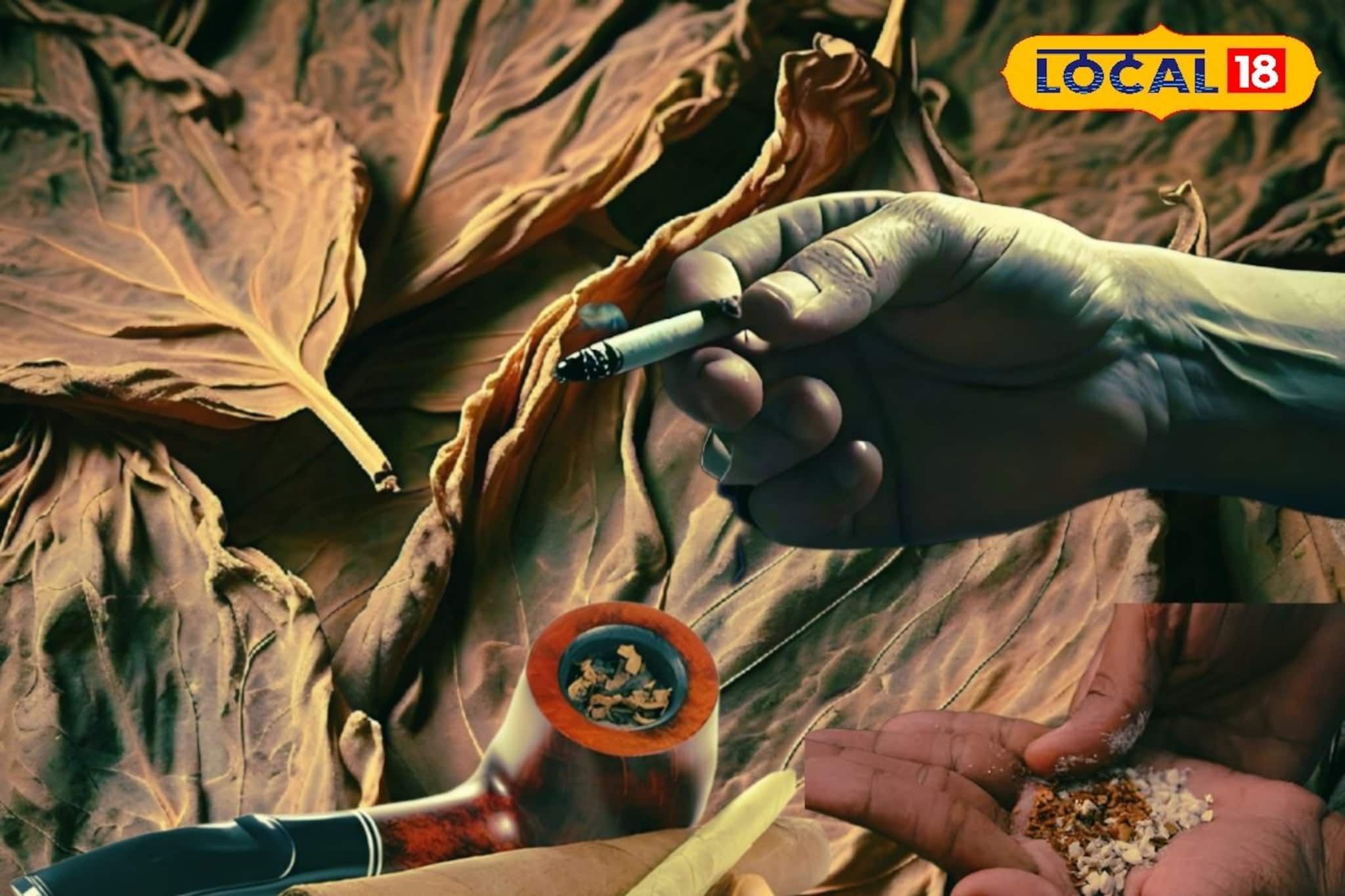 সিগারেট, তামাক, খৈনি নাকি বিড়ি, কোনটা বেশি ক্ষতি করে শরীরে? চিকিৎসকের মত জানুন