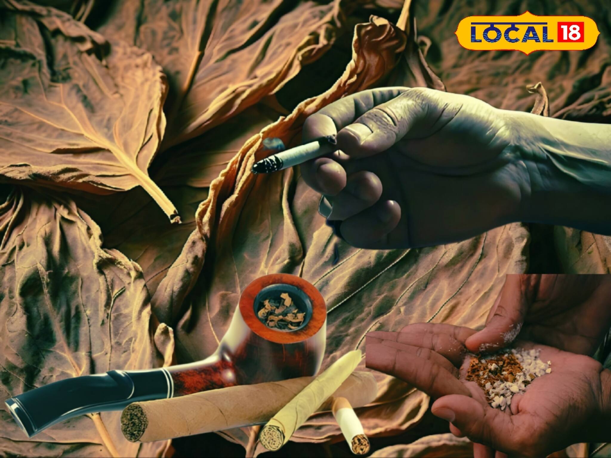 সিগারেট, তামাক, খৈনি নাকি বিড়ি, কোনটা বেশি ক্ষতি করে শরীরে? চিকিৎসকের মত জানুন