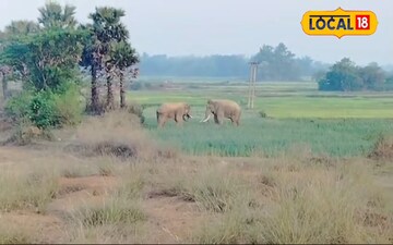 পুজো