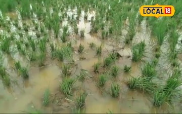 হাতিরা