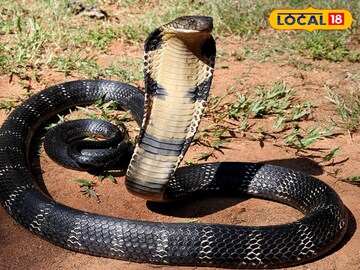 প্রতীকী