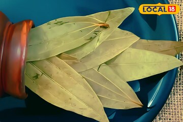 রোজ খালি পেটে ১টি পাতা ভেজানো এককাপ জল! অম্বল-বদহজমের ইতি, একদিনেই হাতেনাতে ফল
