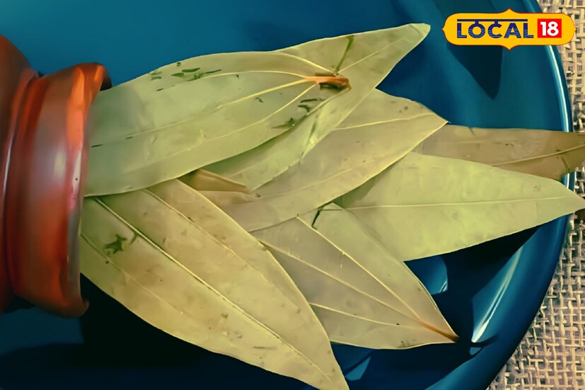 *বাড়ির রান্নায় ফোড়ন হিসাবে তেজপাতার ব্যবহার হয়ে আসছে দীর্ঘ সময় ধরে। অ্যারোমাথেরাপিতেও এই পাতা ব্যবহারের চল রয়েছে দীর্ঘ সময় ধরে।
