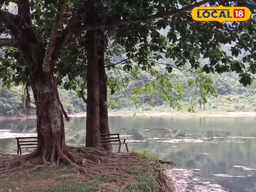 রোহিনী