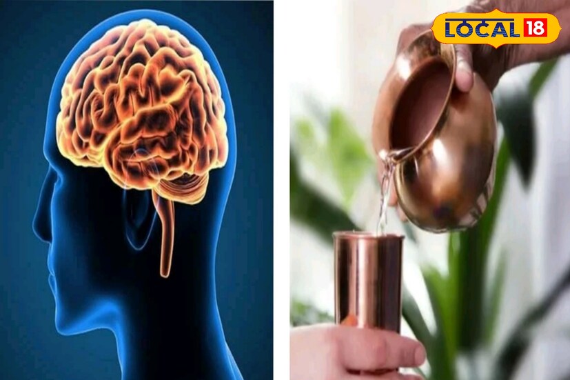 *মস্তিষ্কের কর্মক্ষমতা বৃদ্ধিতেও ব্যাপকভাবে সহায়তা করে তামা। তাই এবার থেকে স্টিলের, প্লাস্টিকের বোতল বা কাঁচের বদলে বাড়িতে তামার পাত্রে জলপান অভ্যাস করলে মিলবে দ্বিগুন উপকার।