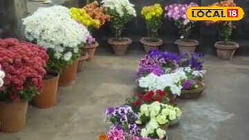 শীতকালীন