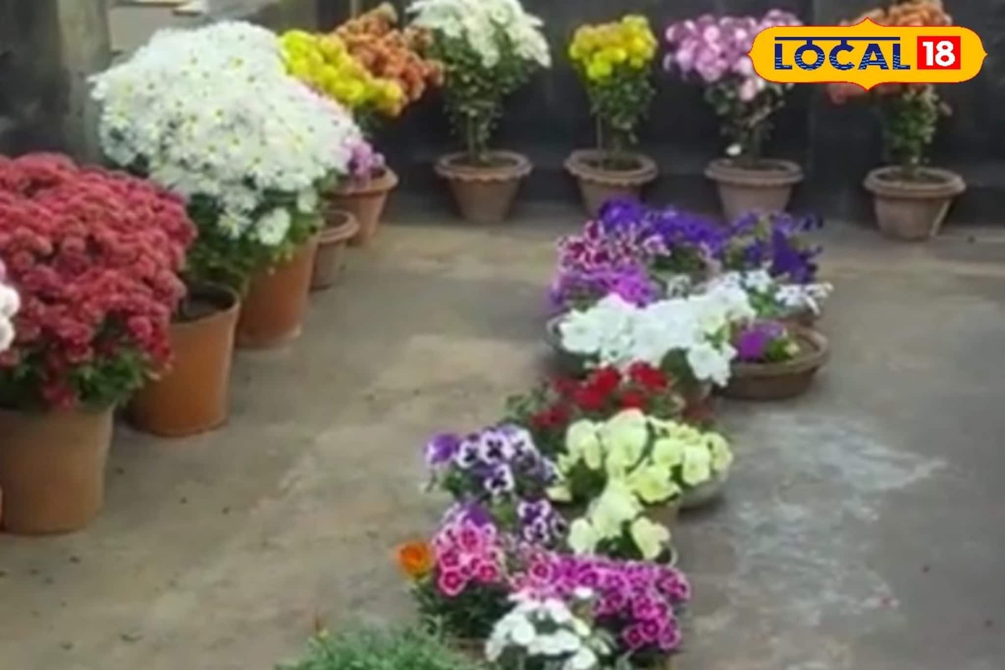 কাঁড়ি কাঁড়ি টাকা বাঁচবে...! বর্ষার শেষেই করুন এই কাজ, থোকা থোকা ফুলে ভরবে গাছ!