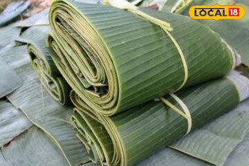 কে কী বলল না ভেবে 'জাস্ট' কলাপতায় খান,পেটের রোগের হাজার ওষুধের খরচ বাঁচবে,জানুন