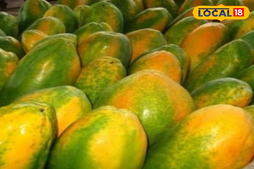 *বিশিষ্ট ডাক্তার আশিস রায় বলেন, খালি পেটে পাকা পেঁপে খাওয়া কোনও পরিস্থিতিতেই ভাল নয়। কারণ, পেঁপেতে উপস্থিত ‘পেপসিন’ এবং ‘প্যাপাইন’ নামক উৎসেচকগুলি পরিপাকে সহায়ক। খালি পেটে পেঁপে খেলে তা নানা ধরনের জটিলতা সৃষ্টি করে।