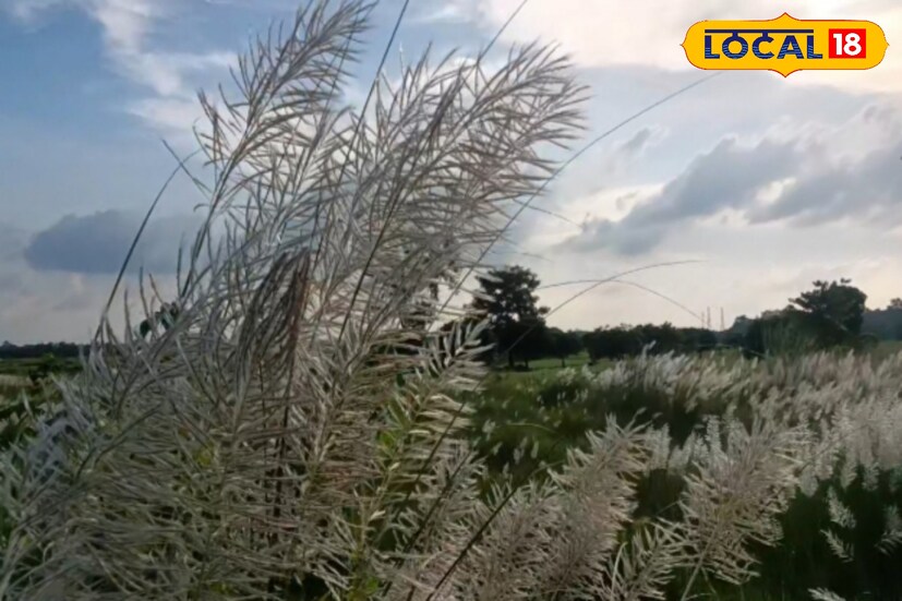নিম্নচাপ কেটে গিয়ে আকাশ পরিষ্কার হয়েছে। গৌড়বঙ্গের জেলাগুলিতে রোদ ঝলমলে আবহাওয়া। মাঝেমধ্যে আকাশ মেঘলা থাকছে। হালকা থেকে মাঝারি বৃষ্টি হতে পারে।