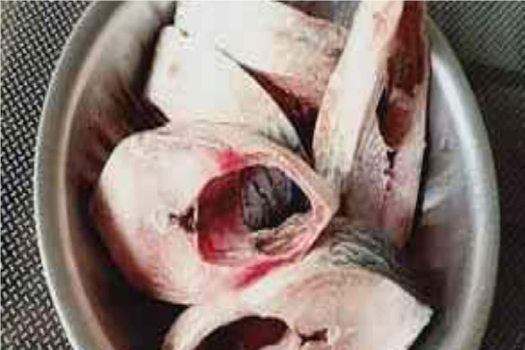 ইলিশ মাছ তো কিনে আনছেন, কত কেজির মাছে ঠিক কতগুলো পিস হয়, রইল হিসেবনিকেশ