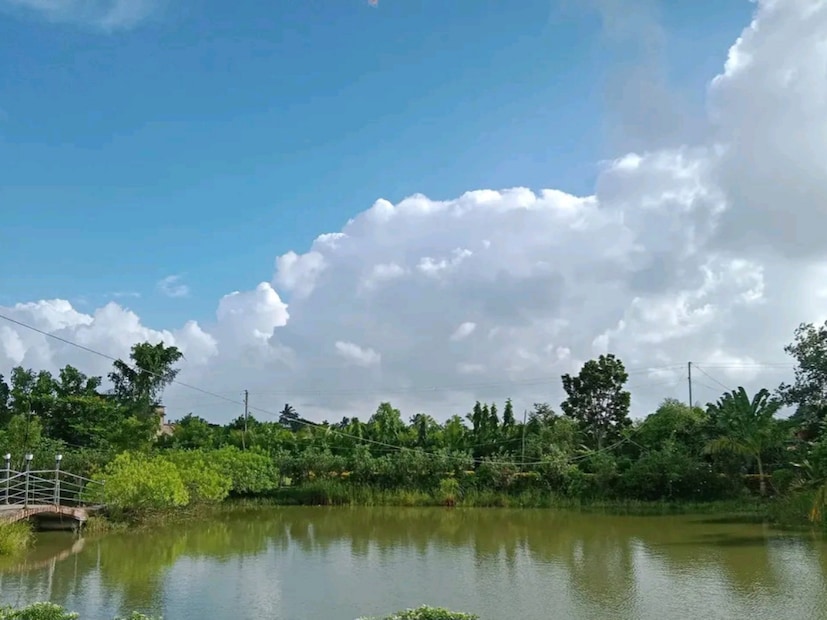 এই পার্কে আসতে হলে আপনাকে শিয়ালদহ দক্ষিণ শাখার মথুরাপুর রেলস্টেশনে নামতে হবে।