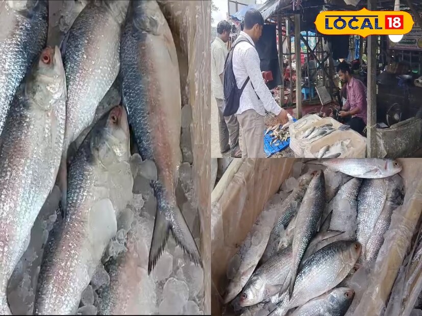 *বৃহস্পতিবার বাংলাদেশ থেকে বেনাপোল সীমান্ত হয়ে ভারতের পেট্রাপোল সীমান্তে আসে ইলিশ বোঝাই প্রথম ট্রাক। ট্রাকটিতে প্রায় ১৭২ পেটিতে ইলিশ মাছ ছিল। আরও বেশ কয়েকটি ট্রাকে ২৫-৩০ টন ইলিশ এসে পৌঁছবে পেট্রাপোল সীমান্তে। ফলে পুজোর আগেই ভোজনরসিক বাঙালির পাতে পড়বে পদ্মার সুস্বাদু ইলিশ। সংগৃহীত ছবি। 