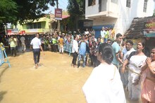 বন্যায় ফসলের ব্যাপক ক্ষতি, সামাল দিতে বিরাট ঘোষণা মুখ্যমন্ত্রীর! জেনে নিন