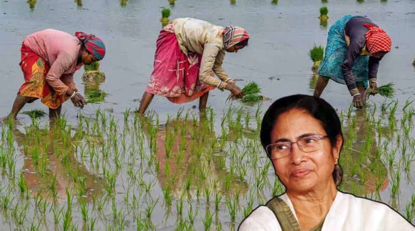 ভুট্টার ক্ষেত্রে আগামী ১৫ সেপ্টেম্বর এবং ধানের ক্ষেত্রে আগামী ৩০ সেপ্টেম্বর পর্যন্ত বীমা করা যাবে বলে কৃষি দফতর সূত্রে জানানো হয়েছে।
