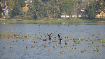 পরি‌যায়ী