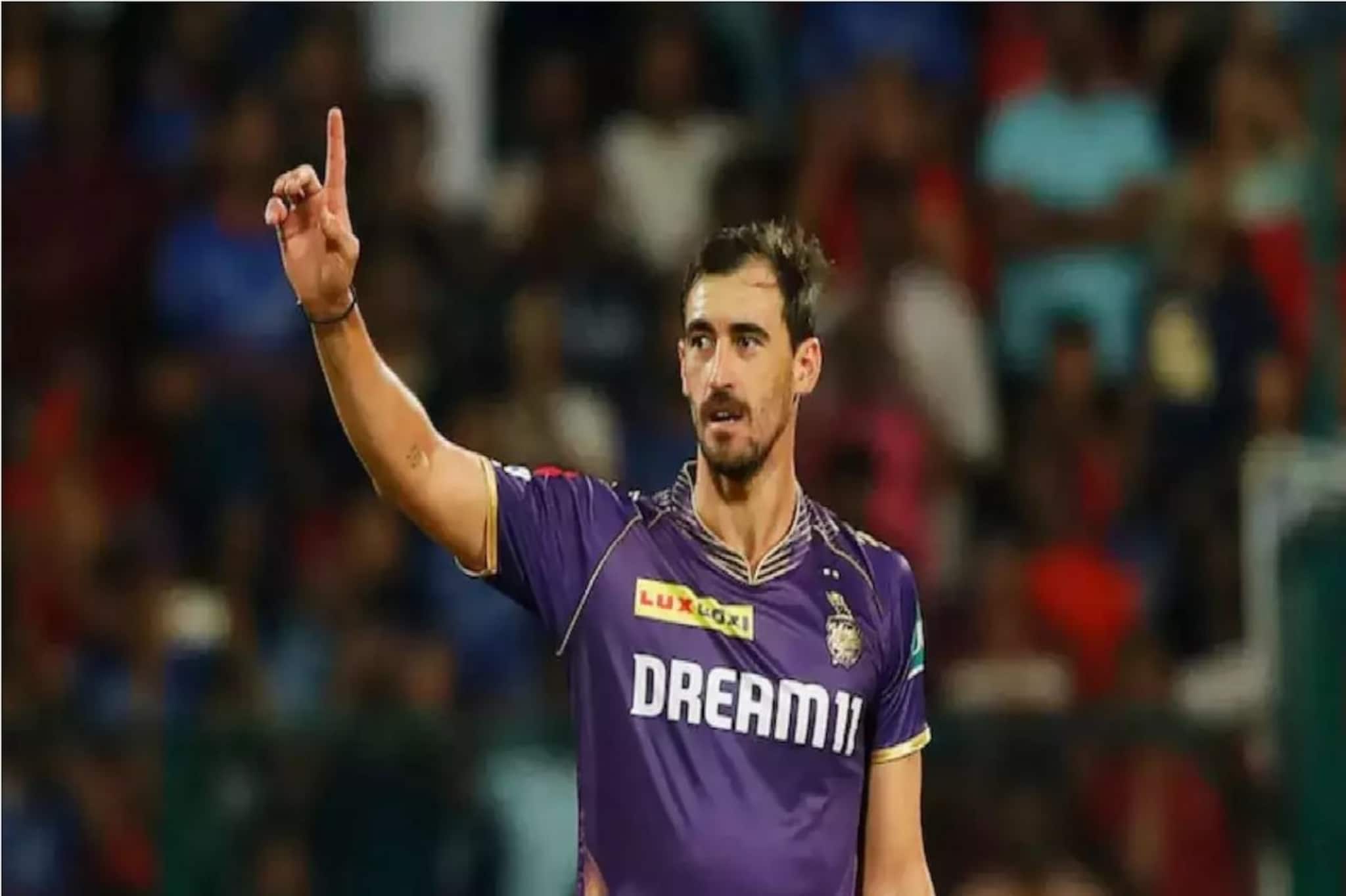 কেকেআরের ছেড়ে দেওয়া স্টার্ককে এবার কে নিল? দাম পেলেন অর্ধেক, বড় কাণ্ড নিলামে