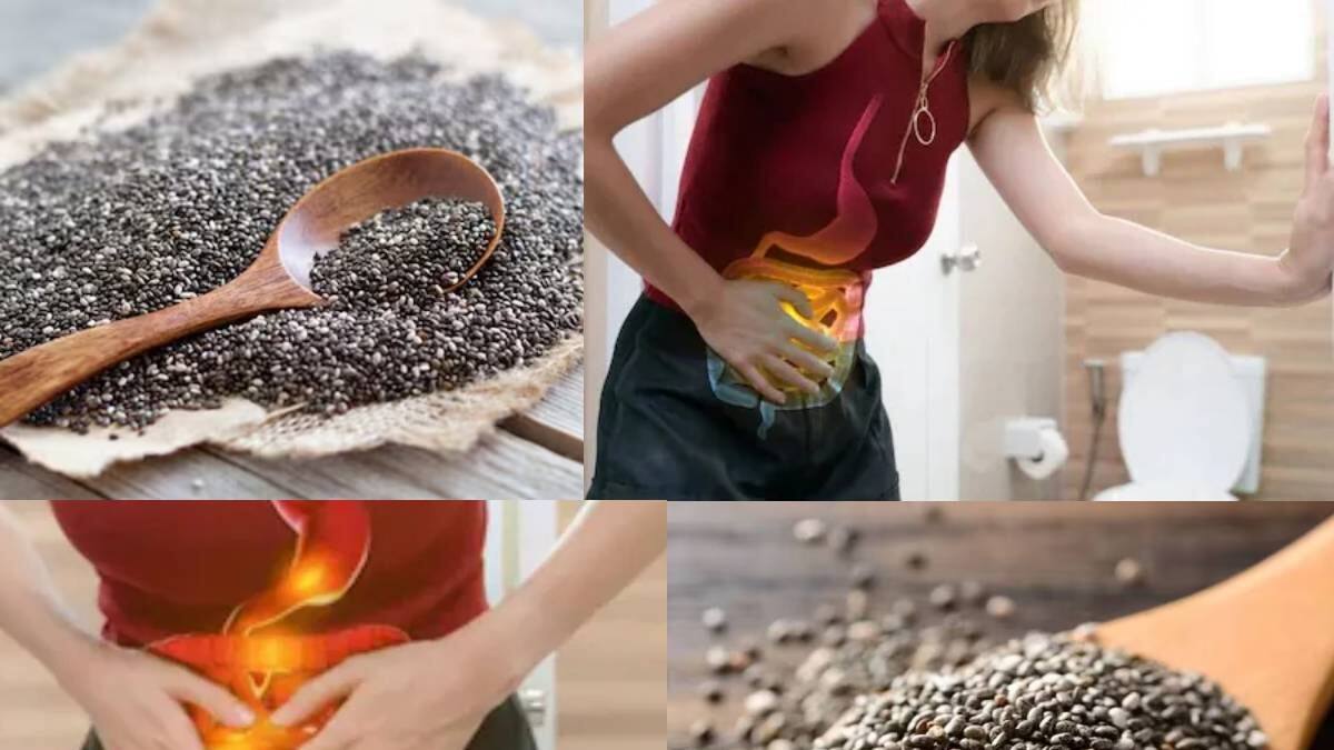 Chia Seeds & Constipation: চিয়াদানার সঙ্গে প্রচুর পরিমাণে খেতেও হবে