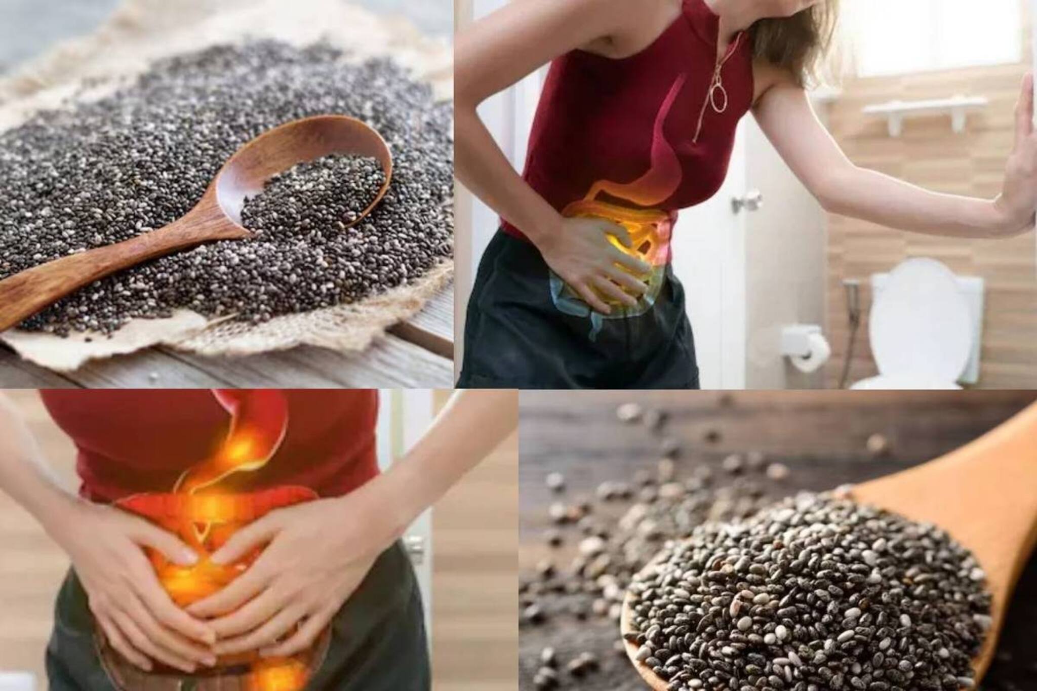 চিয়াদানার সঙ্গে এটাও খান প্রচুর! নয়তো কোষ্ঠকাঠিন্যের অসহ্য কষ্টে কেঁদে ফেলবেন