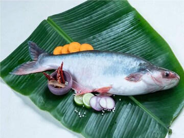 বাজারে নাক সিঁটকে এড়িয়ে যান! গুণে ঠাসা মাছ বাতিল করে শরীরের ক্ষতি ডাকছেন! বাজারে নাক সিঁটকে এড়িয়ে যান! গুণে ঠাসা মাছ বাতিল করে শরীরের ক্ষতি ডাকছেন!