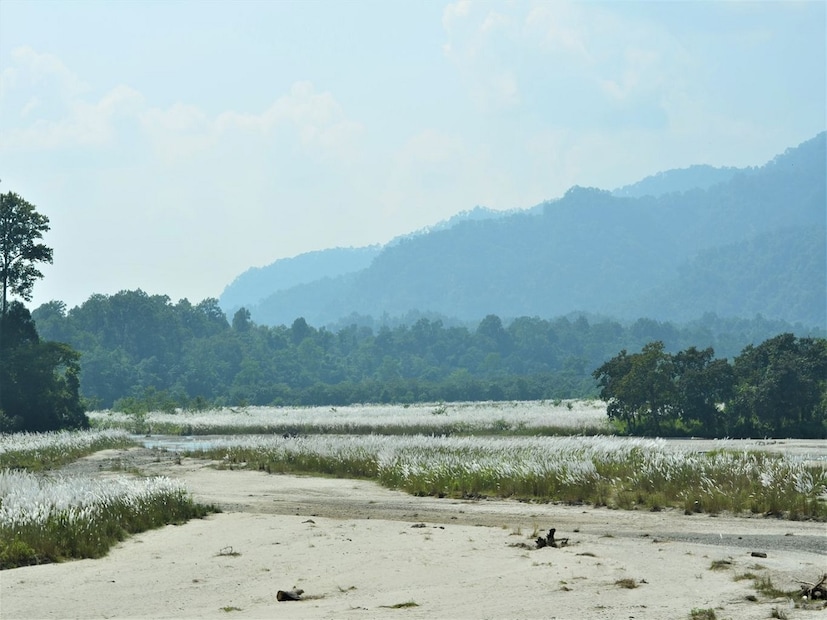 *বক্সা ব্যাঘ্র প্রকল্প লাগোয়া একটি ছোট গ্রাম পানিঝোরা। এই গ্রামে বসবাস সাতটি আদিবাসী সম্প্রদায় ও অনগ্রসর শ্রেণীর মানুষদের। শিক্ষার পাশাপাশি পর্যটকদের আকর্ষণের কেন্দ্রবিন্দু হতে চলেছে এই গ্রামটি। এই গ্রামে ঢুকলেই বাড়ি বাড়ি মিলবে গ্রন্থাগার। প্রতিটি বাড়িতে ছোটো ছোটো গ্ৰন্থাগার রয়েছে। সংগৃহীত ছবি। 